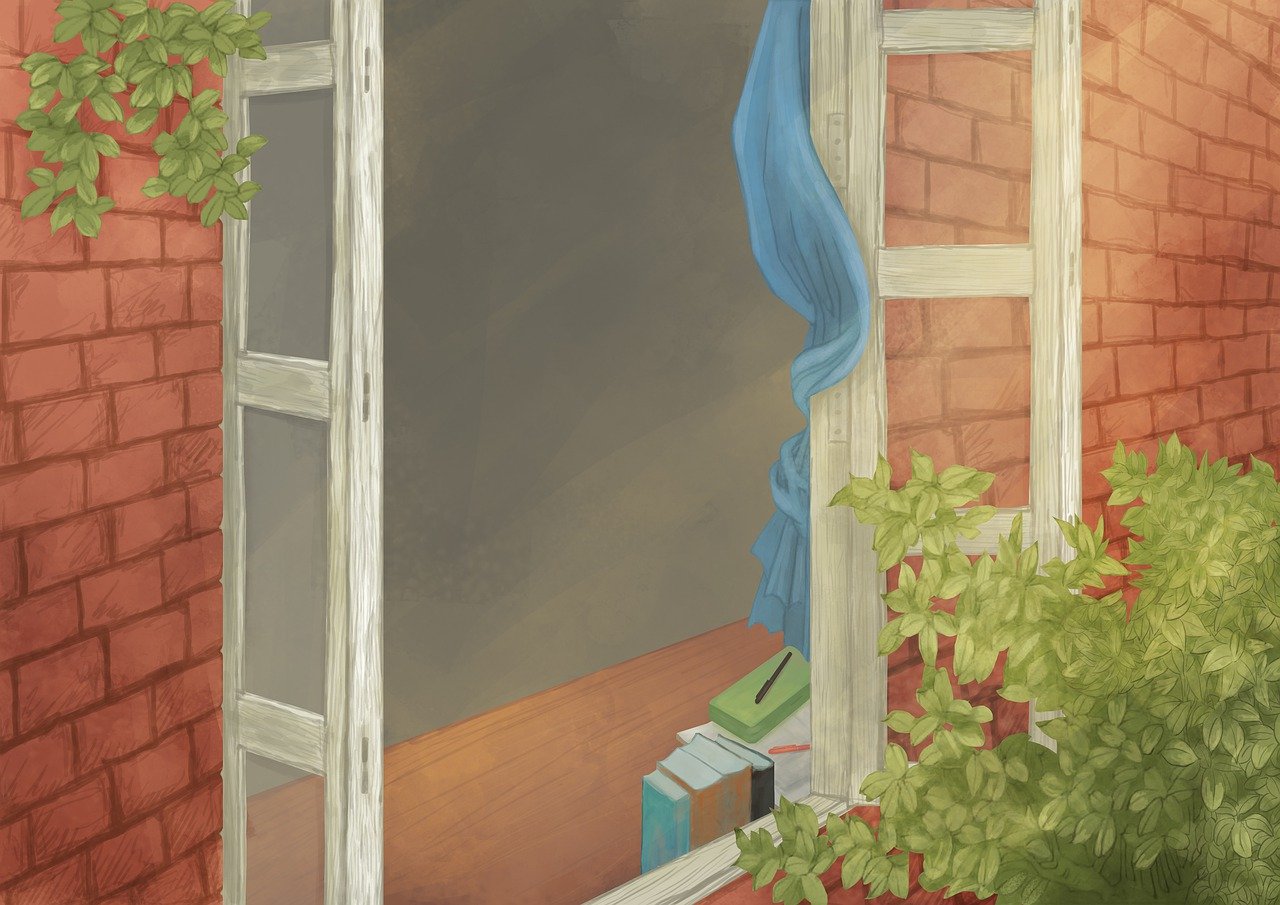 window, leaf, plant