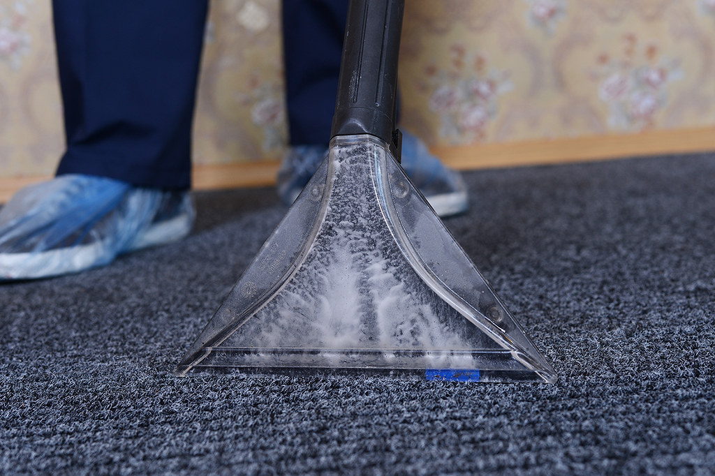 Performing Professional Carpet Cleaning 