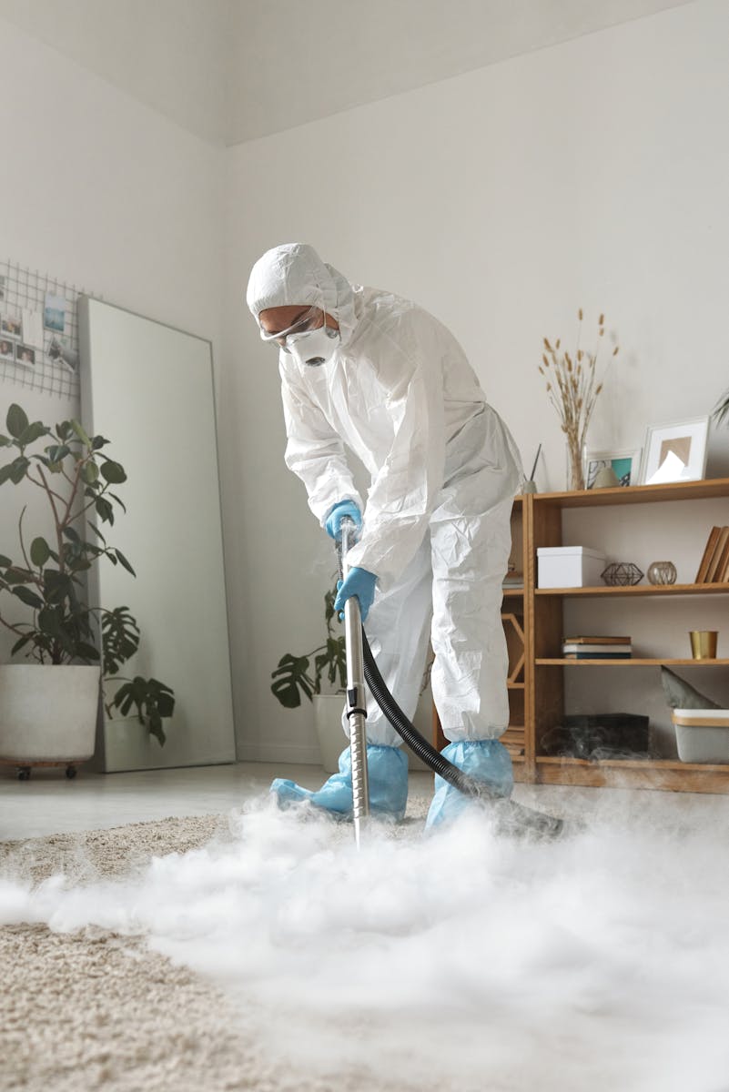 Professional with Protective Gear Performing Carpet Cleaning